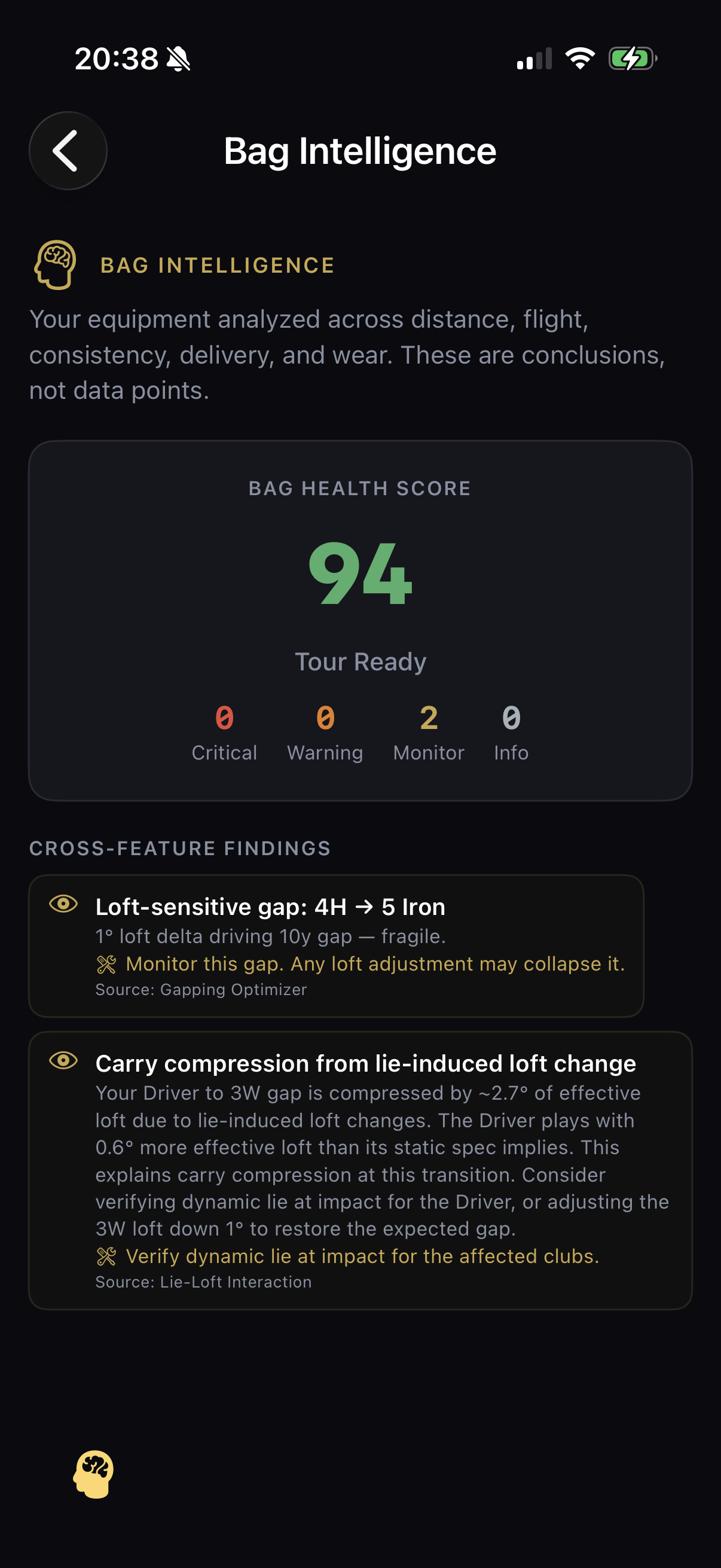 Bag Intelligence — 94 score, cross-feature findings